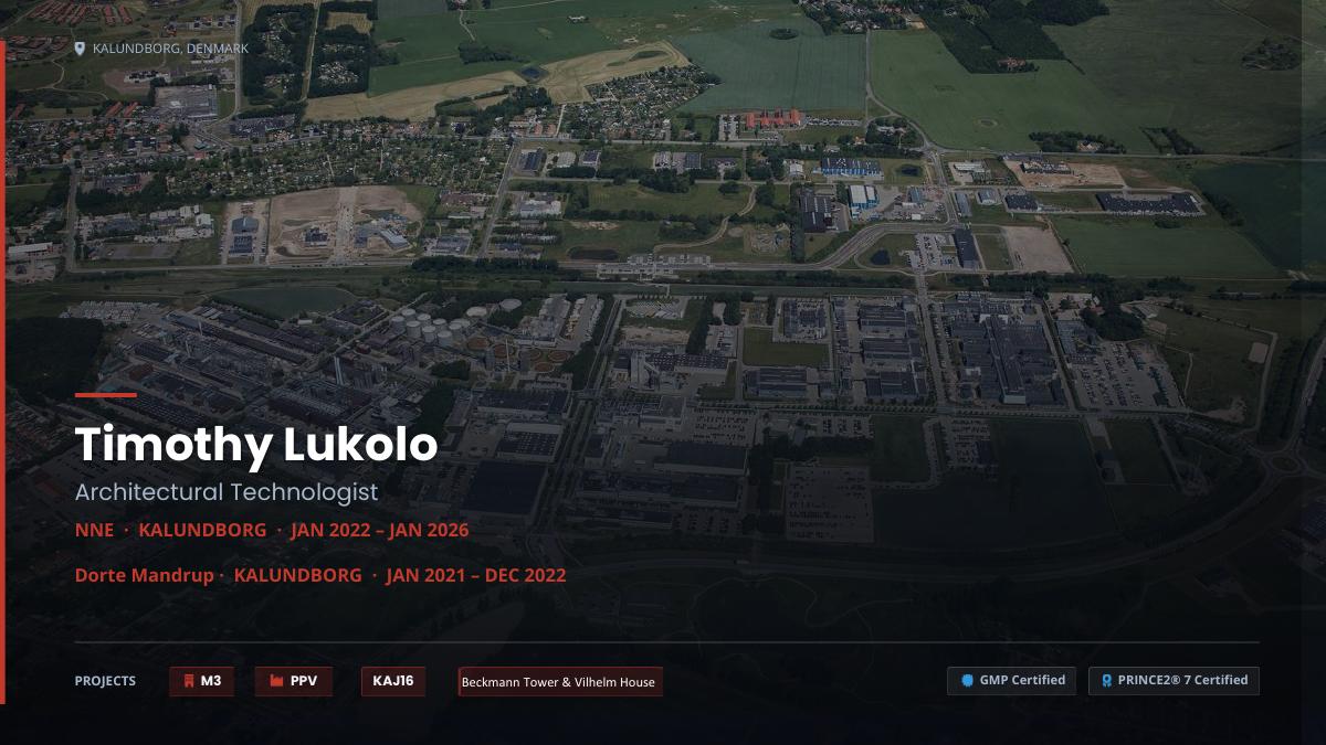 Professional Experience Portfolio cover